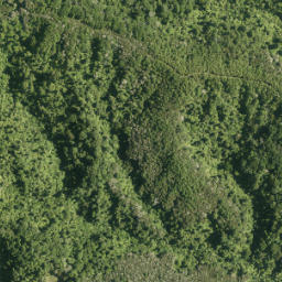 Satellite imagery of Tui Pa, NZ