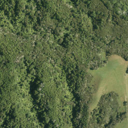 Satellite imagery of Tui Pa, NZ