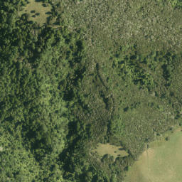 Satellite imagery of Tui Pa, NZ