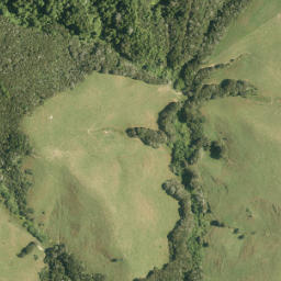 Satellite imagery of Tui Pa, NZ