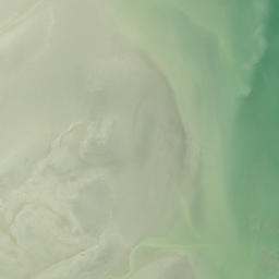 Satellite imagery of Kahawai Point, NZ