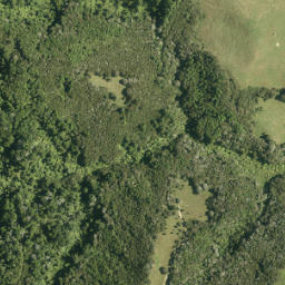 Satellite imagery of Tui Pa, NZ