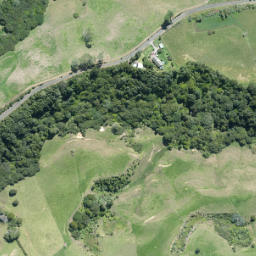 Satellite imagery of N NO 2, NZ