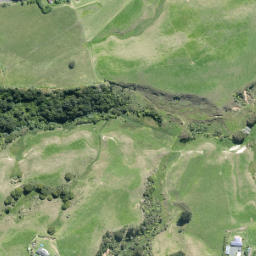 Satellite imagery of N NO 2, NZ