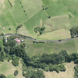 Satellite imagery of N NO 2, NZ
