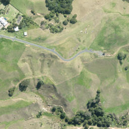 Satellite imagery of N NO 2, NZ