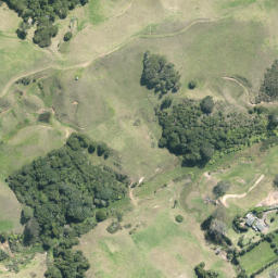 Satellite imagery of N NO 2, NZ