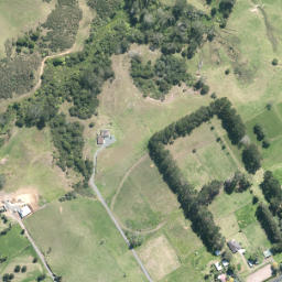 Satellite imagery of N NO 2, NZ