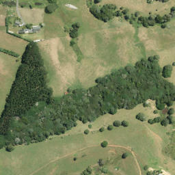 Satellite imagery of F NO 2, NZ