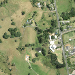 Satellite imagery of F NO 2, NZ