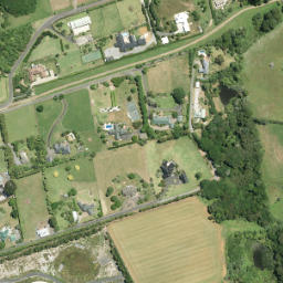 Satellite imagery of F NO 2, NZ