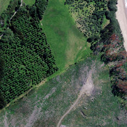 Satellite imagery of Patuhamo Point, NZ