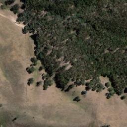Satellite imagery of Mount Nibo, AU