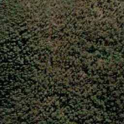 Satellite imagery of Trapyard Hill, AU