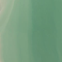 Satellite imagery of Okohaka Point, NZ