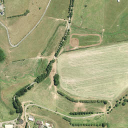 Satellite imagery of F NO 2, NZ