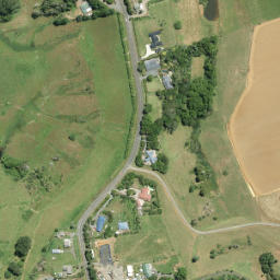 Satellite imagery of F NO 2, NZ