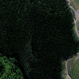 Satellite imagery of Te Puia Point, NZ