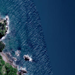 Satellite imagery of Patuhamo Point, NZ