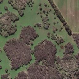 Satellite imagery of Richmond Park, AU