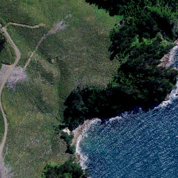 Satellite imagery of Te Puia Point, NZ
