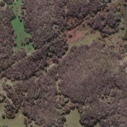 Satellite imagery of Richmond Park, AU