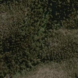 Satellite imagery of Mount Gingee Munjie, AU