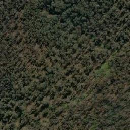 Satellite imagery of Dingo Hill, AU