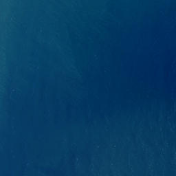 Satellite imagery of Waikaukau Point, NZ