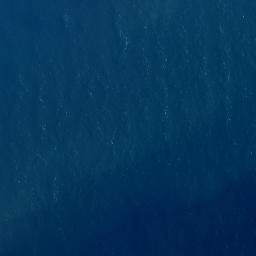 Satellite imagery of Waikaukau Point, NZ