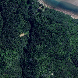 Satellite imagery of Te Wharangi Cliff, NZ