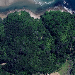 Satellite imagery of Te Karetu Point, NZ