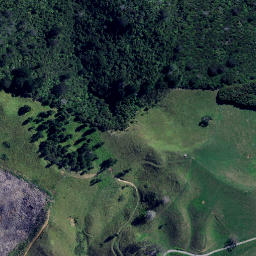 Satellite imagery of Te Wharangi Cliff, NZ