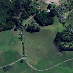 Satellite imagery of Te Karetu Point, NZ
