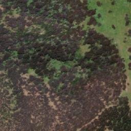 Satellite imagery of Mount Burt, AU
