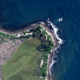 Satellite imagery of Te Karetu Point, NZ