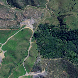 Satellite imagery of Te Papiri Point, NZ