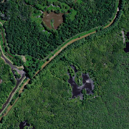 Satellite imagery of Koheroa Redoubt, NZ