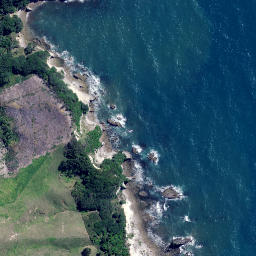 Satellite imagery of Te Papiri Point, NZ