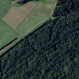 Satellite imagery of A ELBOW HILL, NZ