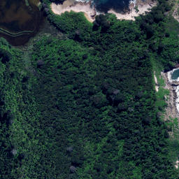 Satellite imagery of Otonga Point, NZ