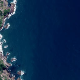 Satellite imagery of Otonga Point, NZ