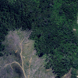 Satellite imagery of Otonga Point, NZ