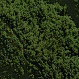 Satellite imagery of Waratah Lookout, AU