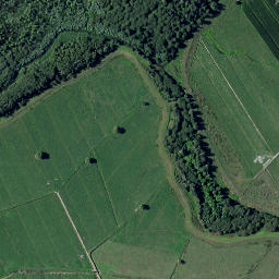 Satellite imagery of TIKORANGI NO 2, NZ