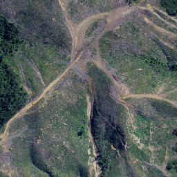 Satellite imagery of Otonga Point, NZ