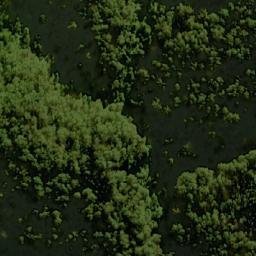 Satellite imagery of Waratah Lookout, AU