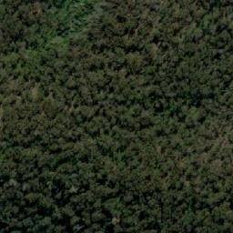 Satellite imagery of Mount Merragunegin, AU