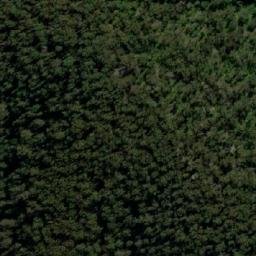 Satellite imagery of Mount Merragunegin, AU