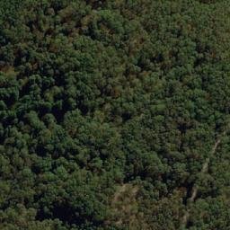 Satellite imagery of Archie Lookout, AU